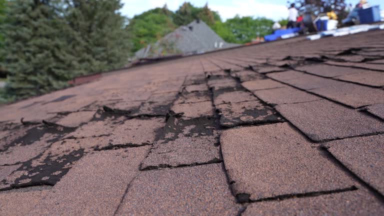 Best Gutter Installation and Repair  in Naples, UT